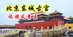 啊啊啊哦哦哦好想要啊好爽视频中国北京-东城古宫旅游风景区